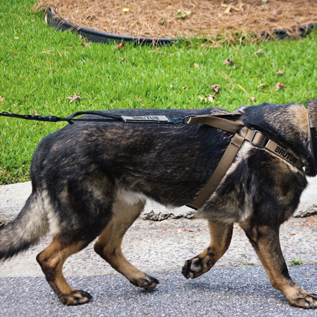 Tactical Dog Leash