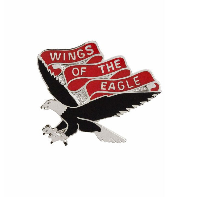 101st Aviation Regiment Unit Crest (Wings of the Eagle)