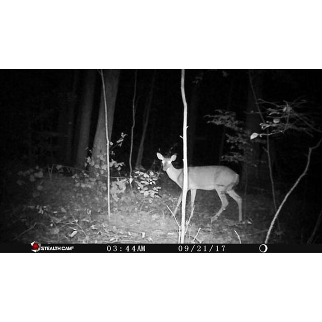Stealth Cam QS18 IR Perimeter Trail Camera STARS-N-STRIPES