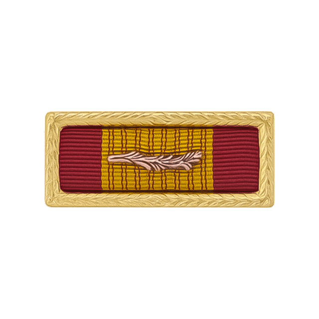 U.S. Army Vietnam Cross of Gallantry Unit Award with Gold Frame & Bronze Palm Device