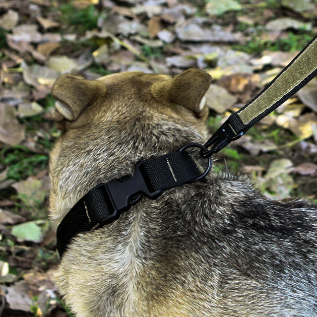 Tactical Dog Collar