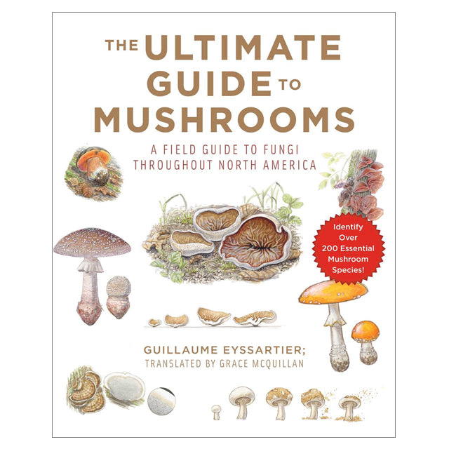 ultimate guide to mushrooms field guide to fungi throughout north america